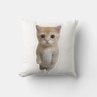 Estojo de Almofada de Gatinho Laranja em Pé Fofo