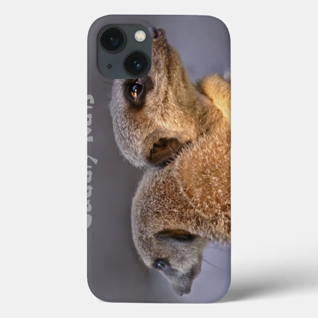 Estojo de iPad Cuddly Kats (Verso)