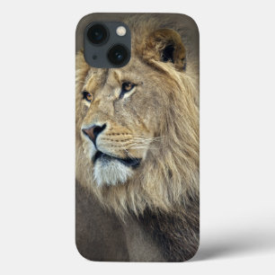Estojo de iPad Sphinx