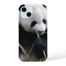 Estojo de iPhone 15 Panda Fofo