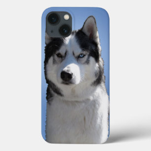 Estojo Husky para Galaxy S3 Cão de Trineo Husky Es
