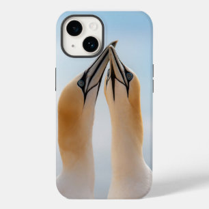Estojo para iPhone 14 do Ganso-Marinho do Norte