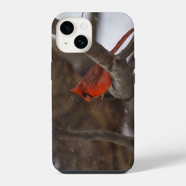 Estojo para iPhone Cardinal Tempestade de Neve (Verso)
