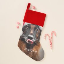 Estoque de Natal dos Papais noeis german shepherd