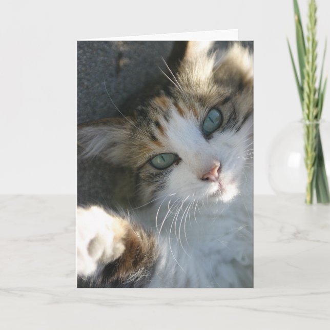 Estou aqui para o seu cartão (Frente)