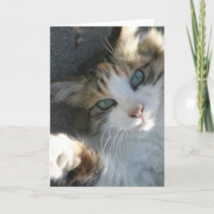 Estou aqui para o seu cartão