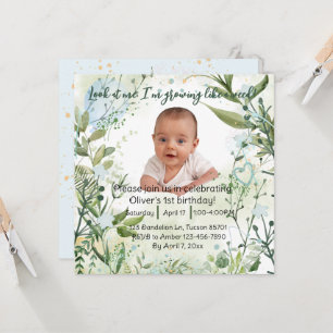 Estou crescendo como uma erva, primeiro aniversari