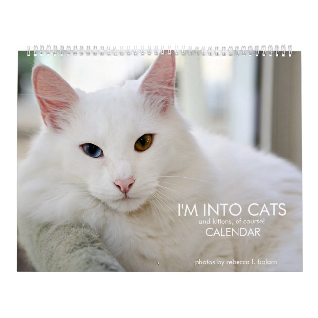 Estou no Calendário 2020 de Gatinhos e Gatinhos (Capa)