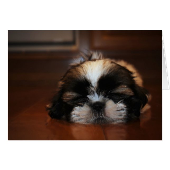 Estou só a pôr o meu cartão de Vazio (Frente horizontal)