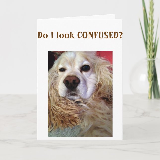 ESTOU TÃO CONFUSO QUE OLHAMOS PARA O CARTÃO DE ANI (Frente)