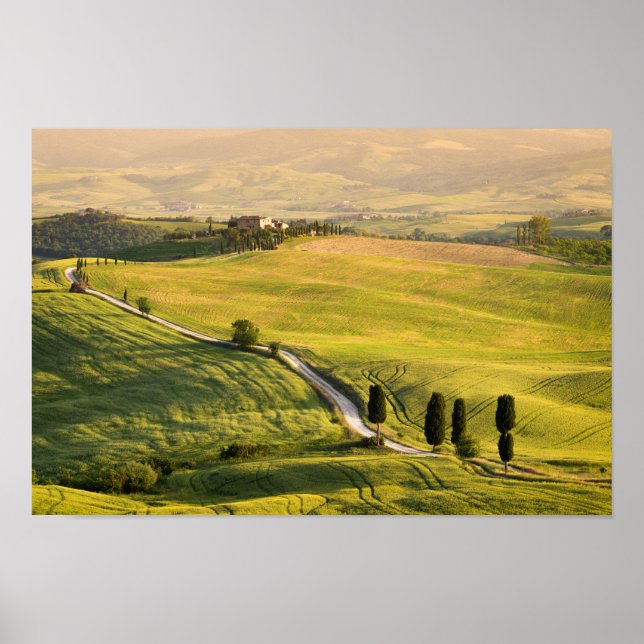 Estrada branca na poster da paisagem da Toscana (Frente)