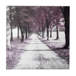 estrada cor-de-rosa de Forrest Gump