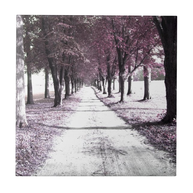 estrada cor-de-rosa de Forrest Gump (Frente)