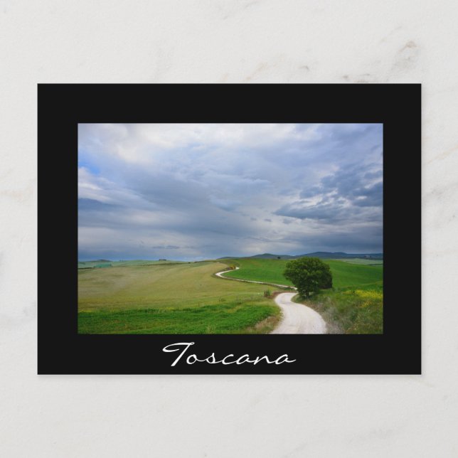 Estrada curvada na Toscana - cartão postal preto (Frente)