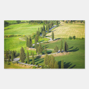 Estrada de enrolamento de Cypress, etiqueta