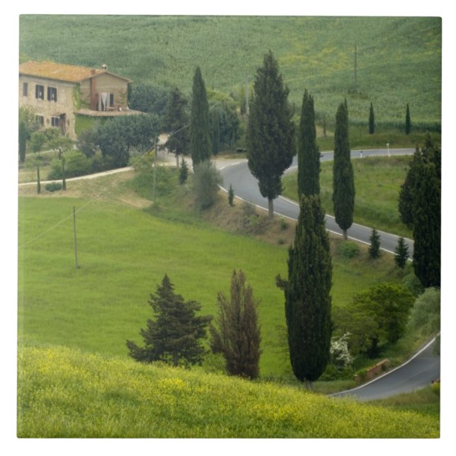 Estrada de Pienza a Montepulciano, 2 (Frente)