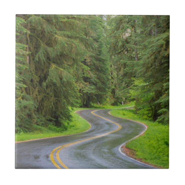 Estrada do Rio Sol Duc através da floresta (Frente)