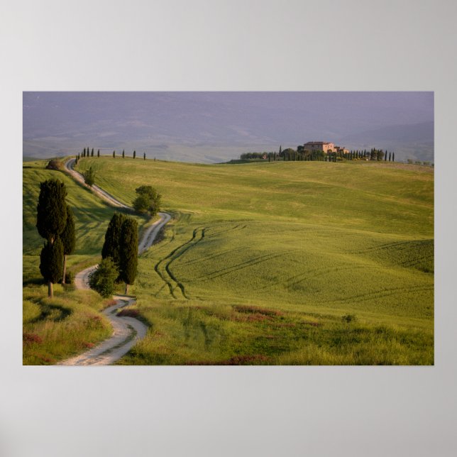 Estrada para Terrapille na Toscana poster (Frente)