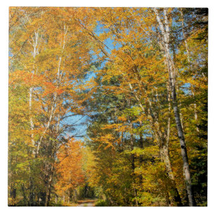 Estrada Rural Cores de Outono New Hampshire