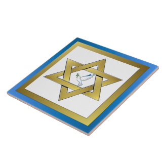 Estrela Da Porta Da Paz Do Azulejo Cerâmico David