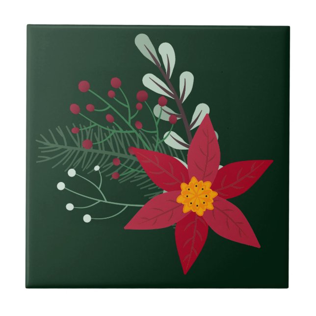 Estrela de Natal (Frente)