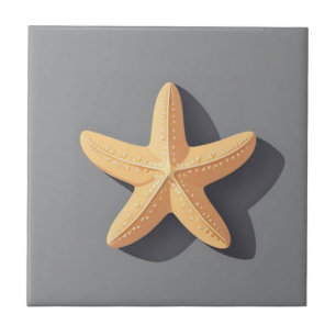 Estrela-do-mar e sua Sombra