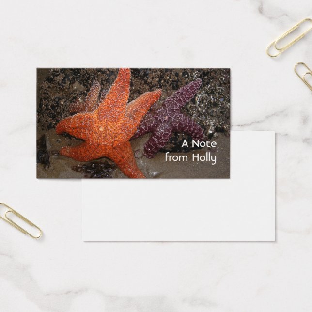 Estrela do mar/estrelas de mar, praia do canhão (Escritótio)