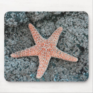 Estrela do mar Mousepad