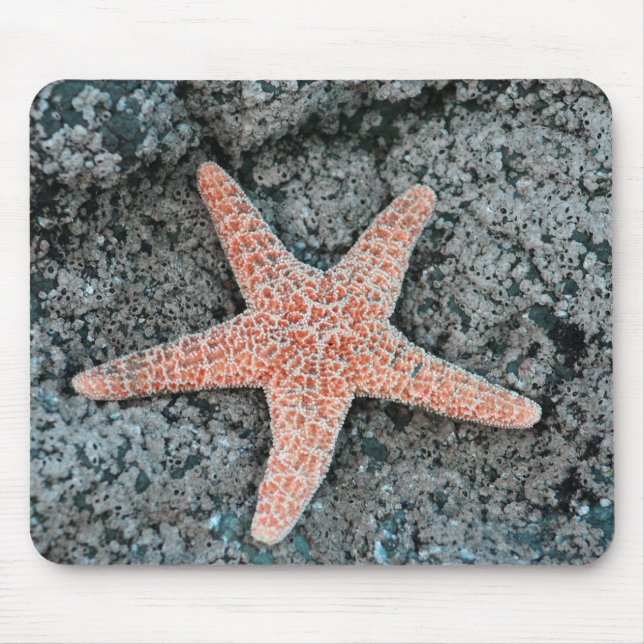 Estrela do mar Mousepad (Frente)