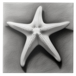 Estrela-do-mar preta e branca