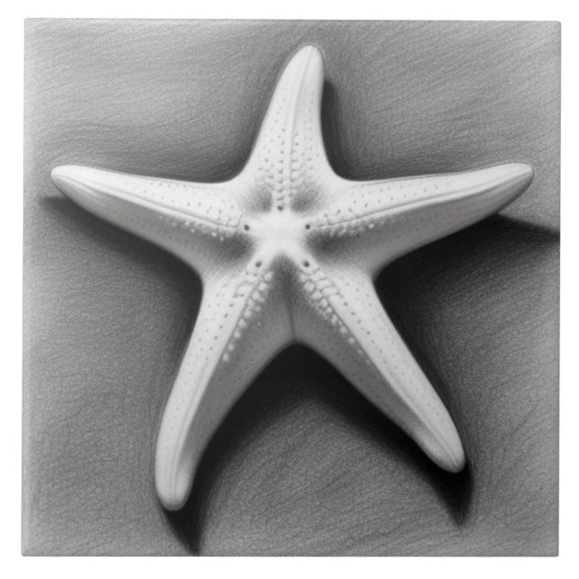 Estrela-do-mar preta e branca (Frente)