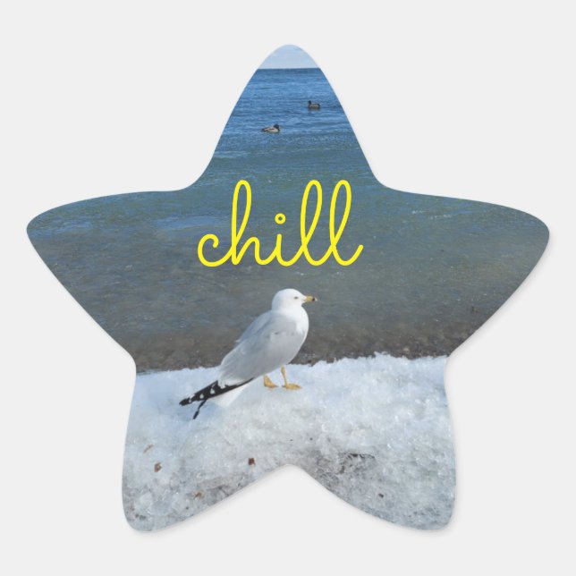 Estrela Rejeite o adesivo de relaxamento do Seagull (Frente)
