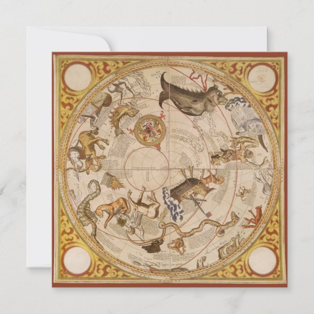 Estrelas da Constelação Céu do Sul Astronomia Vint (Frente)