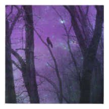 Estrelas de Púrpura