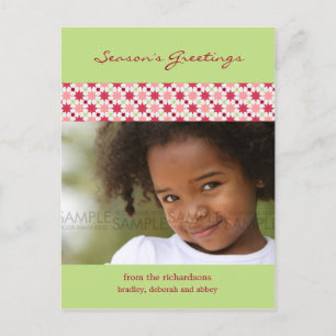 Estrelas do Amaryllis:: Cartão da foto do Natal