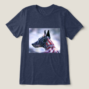 Estrelas e Stripes Doberman Pinscher