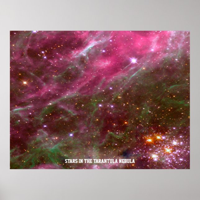Estrelas em Tarantula Nebula, Poster de Matiz Rosa (Frente)