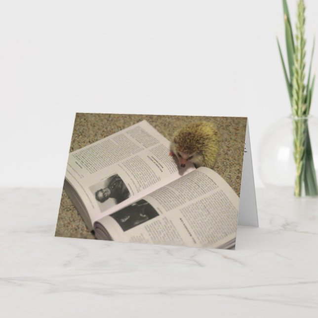 Estudando o cartão da graduação do ouriço (Frente)