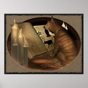 Estudando o impressão das lições do gato