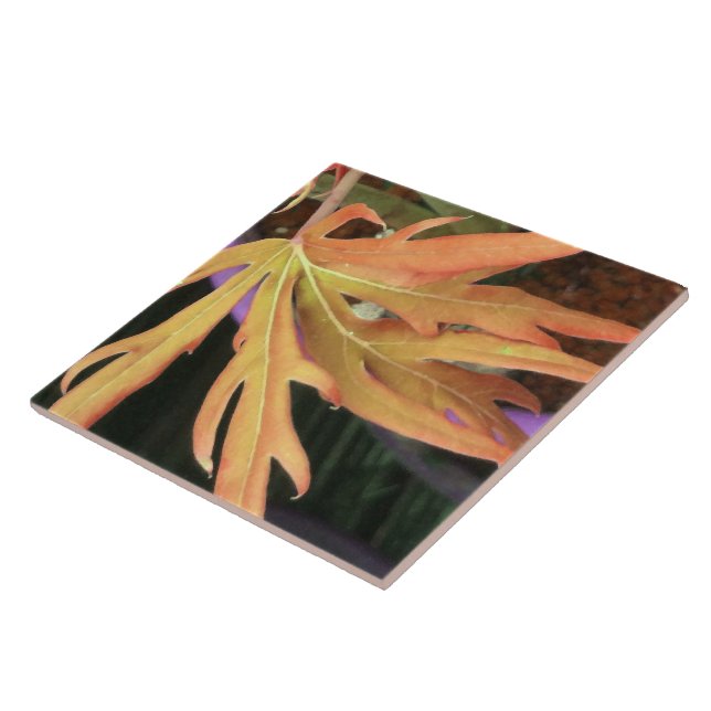 Estudo de Folha 2 (Lateral)