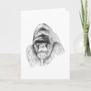 Estudo de Gorilla em Montanha Cartão de Passado