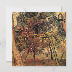 Estudo de Pine Trees por Vincent van Gogh