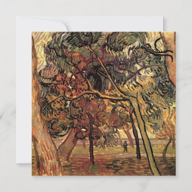 Estudo de Pine Trees por Vincent van Gogh (Frente)