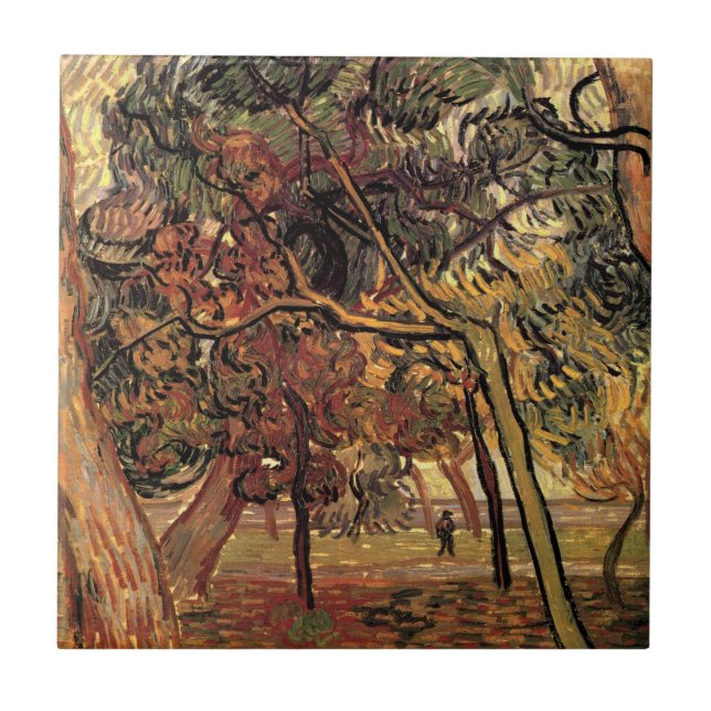 Estudo de Pine Trees por Vincent van Gogh (Frente)