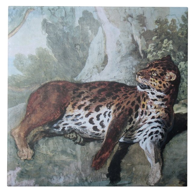 Estudo de um Leopardo (por Jean-Baptiste Oudry) (Frente)