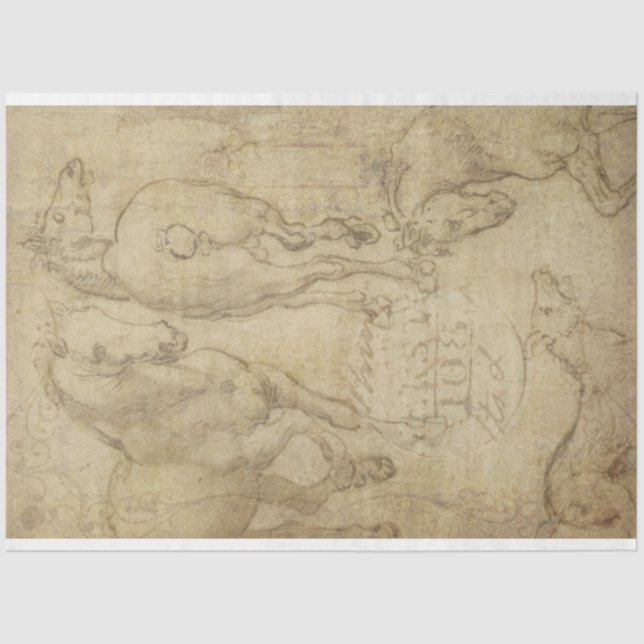 Estudo de um Papel de Decoupage de Cavalo (Frente )