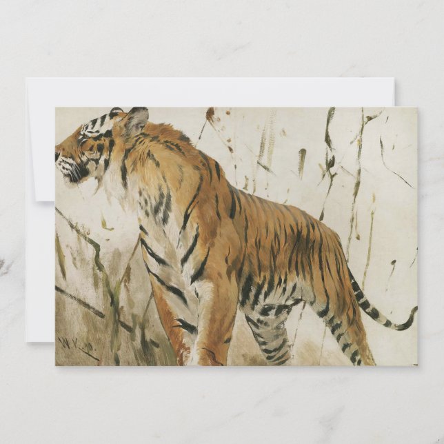 Estudo de um Tigre | Wilhelm Kuhnert (Frente)