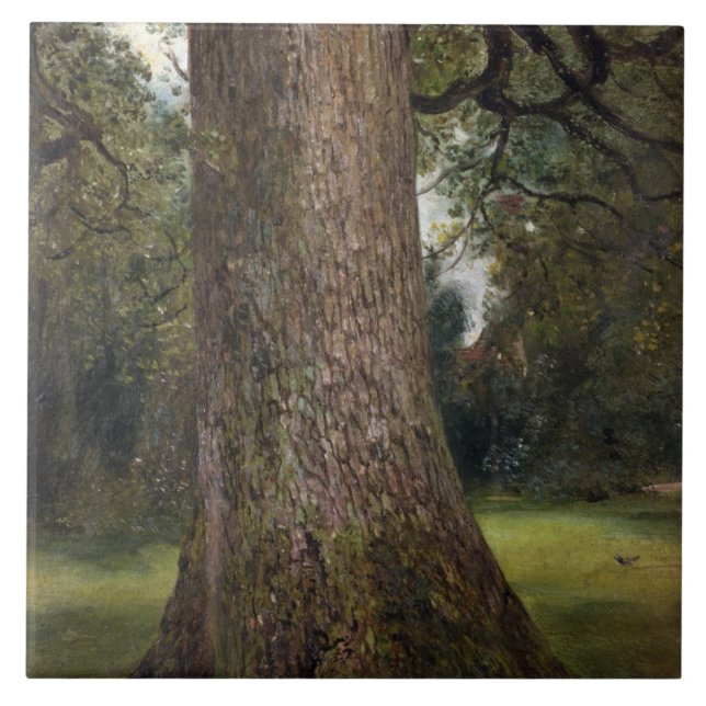 Estudo do tronco de uma árvore de olmo, c.1821 (Frente)