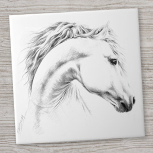 Estudo-retrato de cavalos desenhando arte equestre
