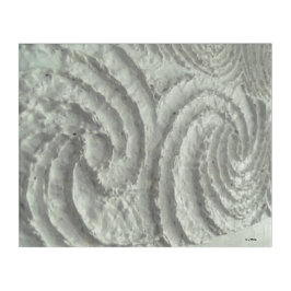 estudos em Koru nº 7